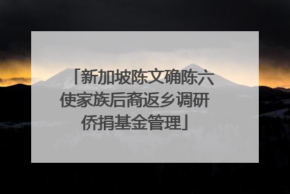 新加坡陈文确陈六使家族后裔返乡调研侨捐基金管理