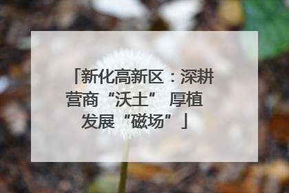 新化高新区：深耕营商“沃土” 厚植发展“磁场”