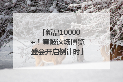 新品10000+！黄陂这场博览盛会开启倒计时