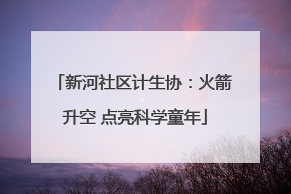 新河社区计生协：火箭升空 点亮科学童年
