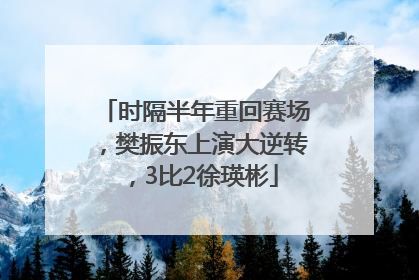 时隔半年重回赛场，樊振东上演大逆转，3比2徐瑛彬