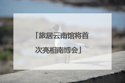 旅居云南馆将首次亮相南博会