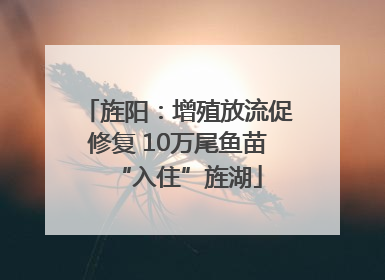 旌阳：增殖放流促修复 10万尾鱼苗“入住”旌湖