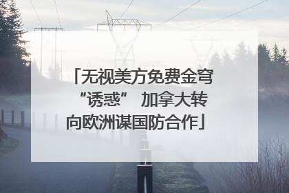无视美方免费金穹“诱惑” 加拿大转向欧洲谋国防合作
