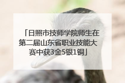日照市技师学院师生在第二届山东省职业技能大赛中获3金5银1铜