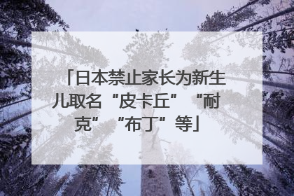 日本禁止家长为新生儿取名“皮卡丘”“耐克”“布丁”等