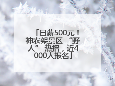日薪500元！神农架景区 “野人” 热招，近4000人报名