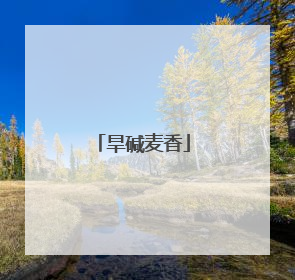 旱碱麦香