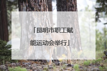 昆明市职工赋能运动会举行