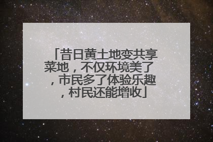 昔日黄土地变共享菜地，不仅环境美了，市民多了体验乐趣，村民还能增收