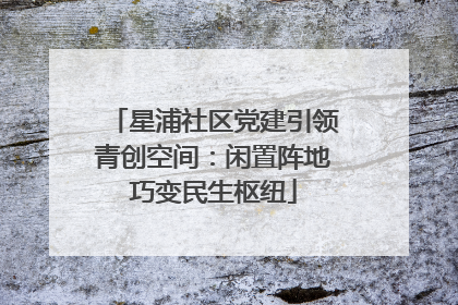 星浦社区党建引领青创空间：闲置阵地巧变民生枢纽
