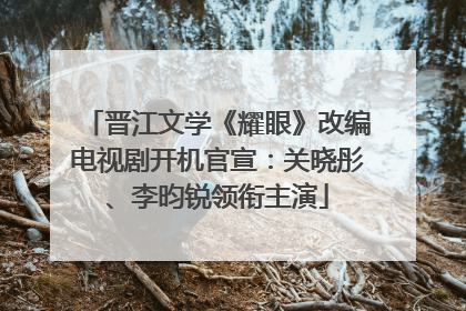 晋江文学《耀眼》改编电视剧开机官宣：关晓彤、李昀锐领衔主演