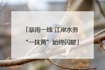暴雨一线 江岸水务“一抹黄”始终闪耀