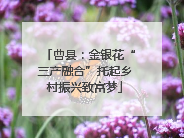 曹县：金银花“三产融合”托起乡村振兴致富梦