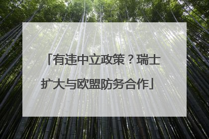 有违中立政策？瑞士扩大与欧盟防务合作