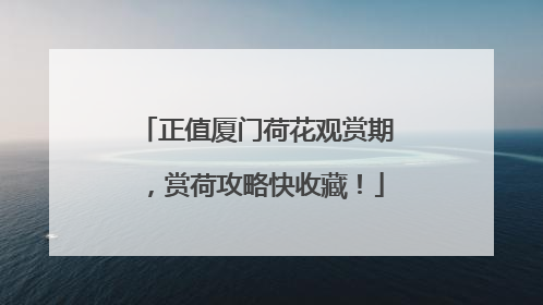 正值厦门荷花观赏期，赏荷攻略快收藏！