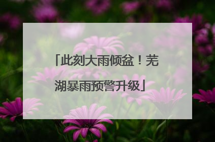 此刻大雨倾盆！芜湖暴雨预警升级