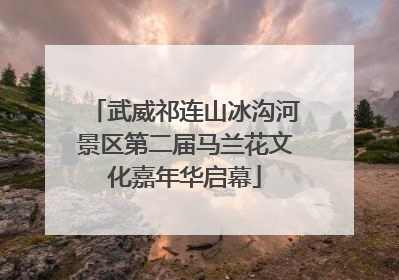 武威祁连山冰沟河景区第二届马兰花文化嘉年华启幕