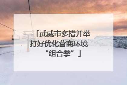 武威市多措并举打好优化营商环境“组合拳”