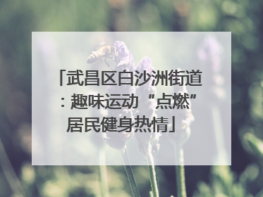 武昌区白沙洲街道：趣味运动“点燃”居民健身热情