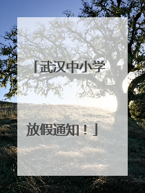 武汉中小学放假通知！
