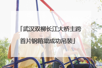 武汉双柳长江大桥主跨首片钢箱梁成功吊装