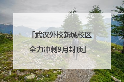 武汉外校新城校区全力冲刺9月封顶