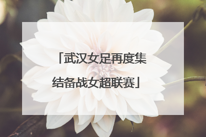 武汉女足再度集结备战女超联赛