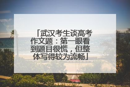 武汉考生谈高考作文题：第一眼看到题目很慌，但整体写得较为流畅