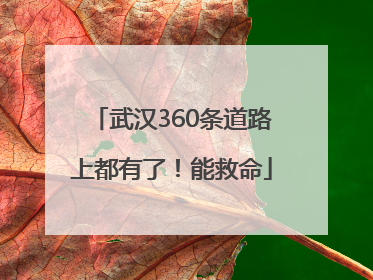 武汉360条道路上都有了！能救命