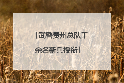 武警贵州总队千余名新兵授衔