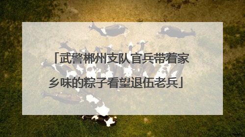 武警郴州支队官兵带着家乡味的粽子看望退伍老兵