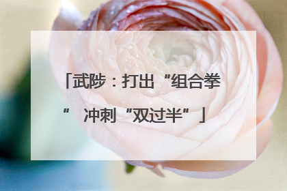 武陟：打出“组合拳” 冲刺“双过半”