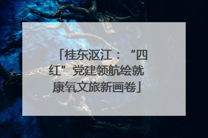 桂东沤江：“四红”党建领航绘就康氧文旅新画卷