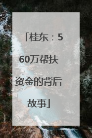 桂东：560万帮扶资金的背后故事