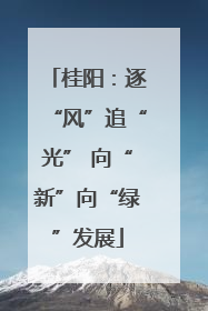 桂阳：逐“风”追“光” 向“新”向“绿”发展