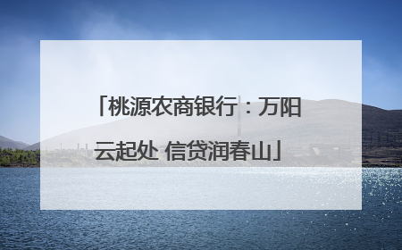 桃源农商银行：万阳云起处 信贷润春山