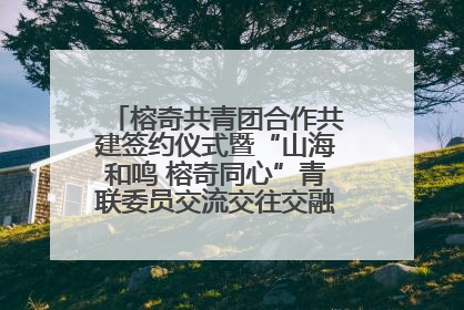 榕奇共青团合作共建签约仪式暨“山海和鸣 榕奇同心”青联委员交流交往交融活动在福州举行