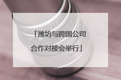 潍坊与跨国公司合作对接会举行