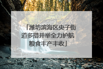 潍坊滨海区央子街道多措并举全力护航粮食丰产丰收