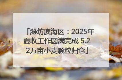 潍坊滨海区：2025年夏收工作圆满完成 5.22万亩小麦颗粒归仓