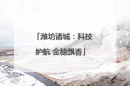 潍坊诸城：科技护航 金穗飘香