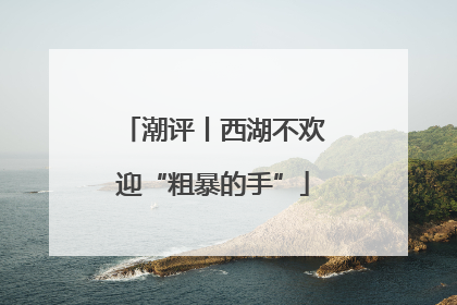 潮评丨西湖不欢迎“粗暴的手”