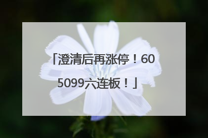 澄清后再涨停！605099六连板！