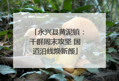 永兴县黄泥镇：干群周末攻坚 国道沿线焕新颜