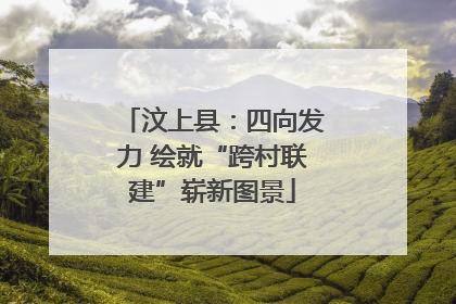 汶上县：四向发力 绘就“跨村联建”崭新图景