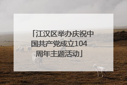 江汉区举办庆祝中国共产党成立104周年主题活动