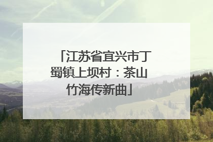 江苏省宜兴市丁蜀镇上坝村：茶山竹海传新曲