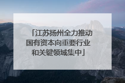 江苏扬州全力推动国有资本向重要行业和关键领域集中