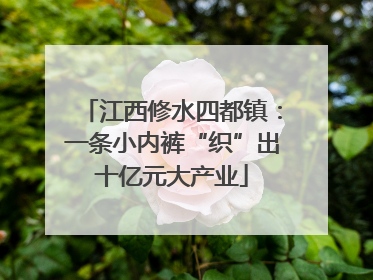江西修水四都镇：一条小内裤“织”出十亿元大产业